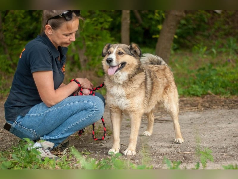 Rostik - Verträglicher Charmeur (Ukraine)