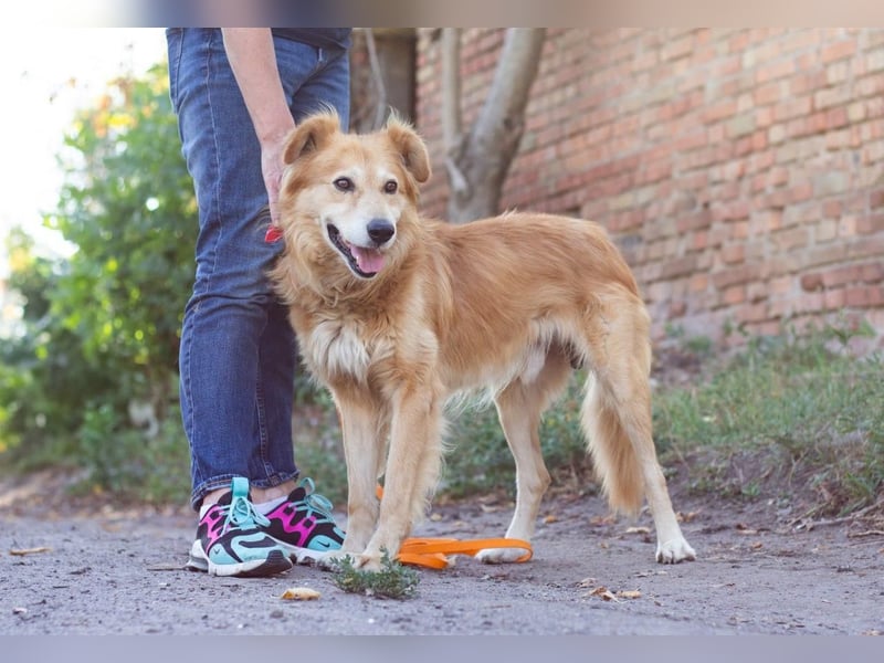 Matias - braucht nicht viel zu seinem Glück (Ukraine)