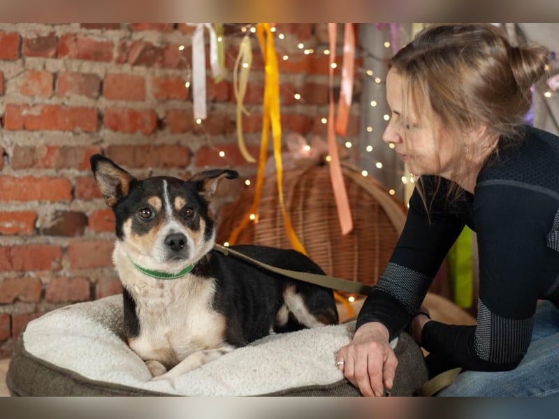 DEN Ruhiger Traumkerl (Ukraine)