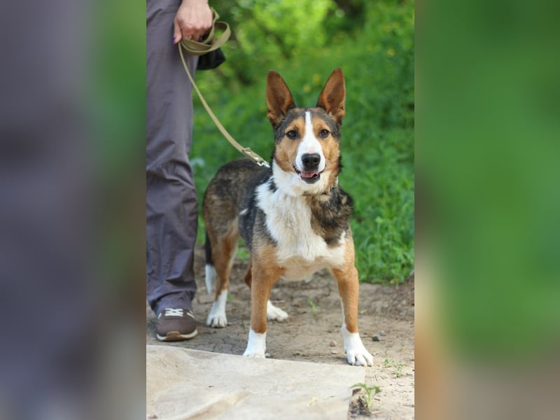 Nick - Bringt Farbe in jedes Leben (Ukraine)