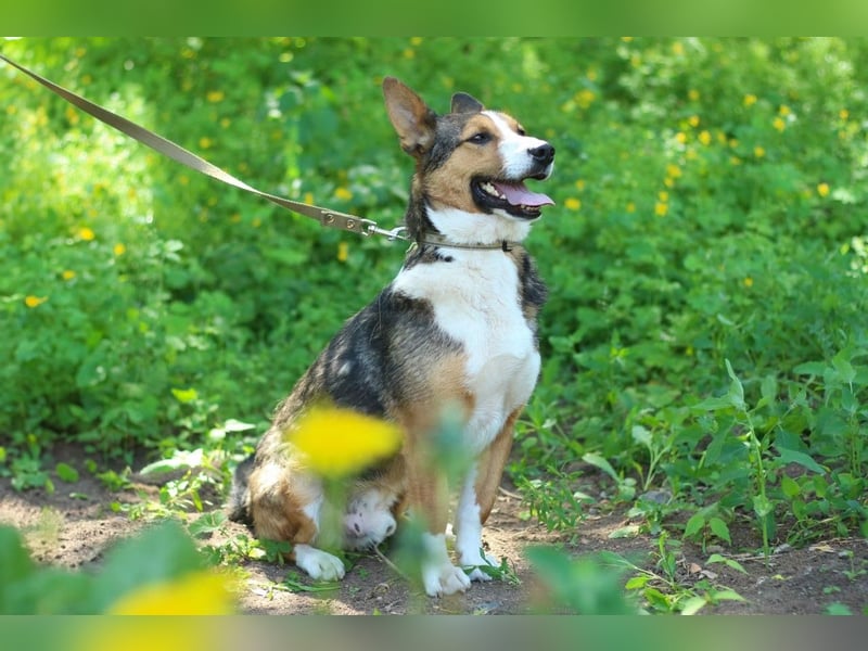 Nick - Bringt Farbe in jedes Leben (Ukraine)