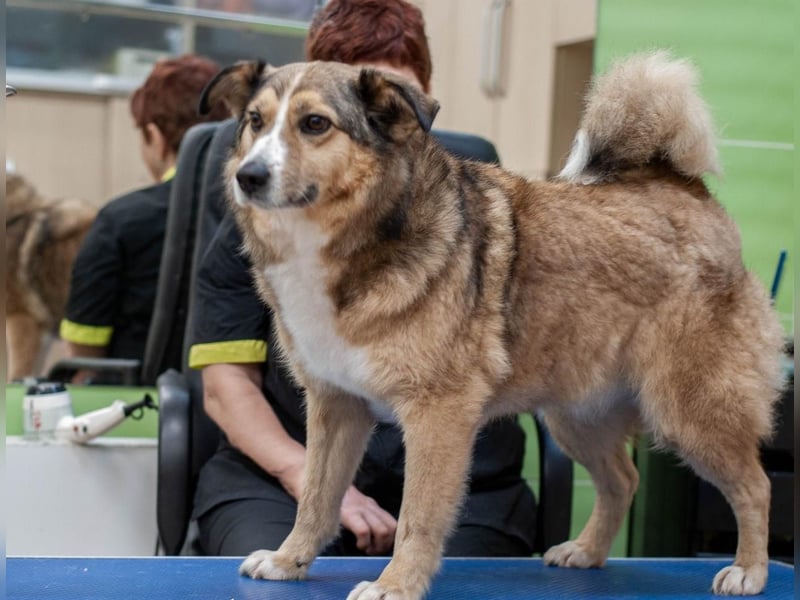 Rostik - Verträglicher Charmeur (Ukraine)