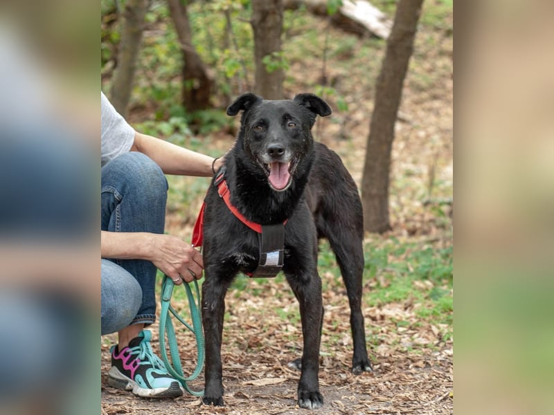 WEST Möchte endlich ankommen (Ukraine)