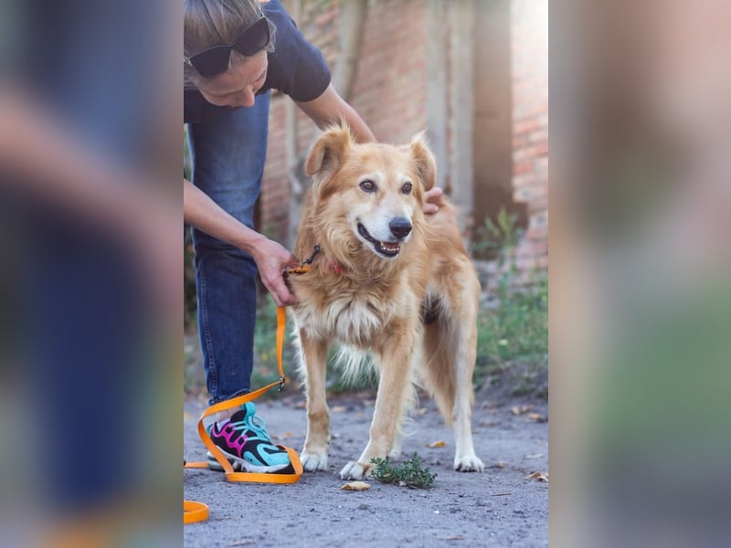 Matias - braucht nicht viel zu seinem Glück (Ukraine)