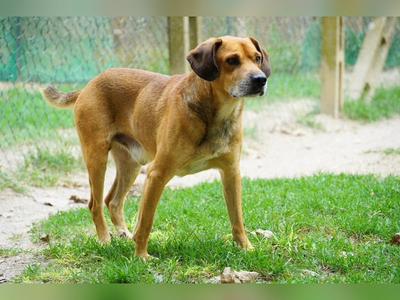 Houdini - Sind Sie Houdinis Houdini?