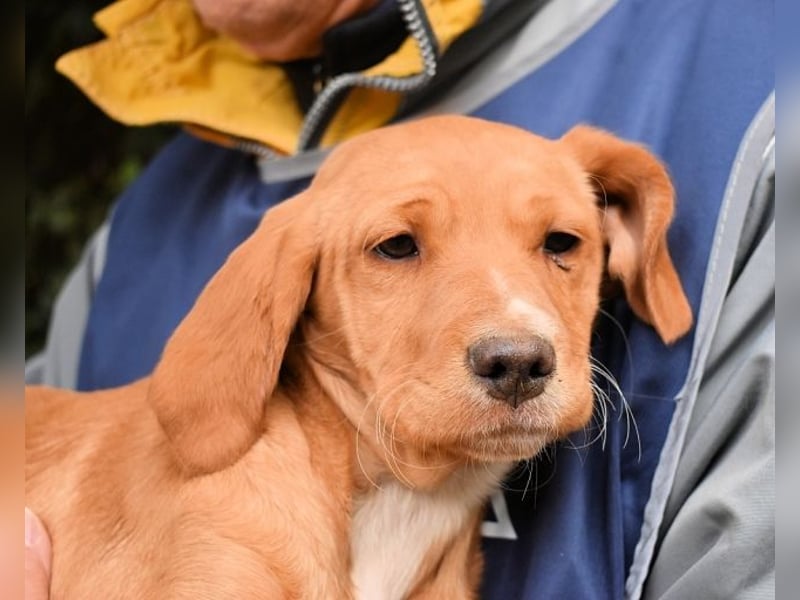 Wixelle - Als Mama noch bei uns war