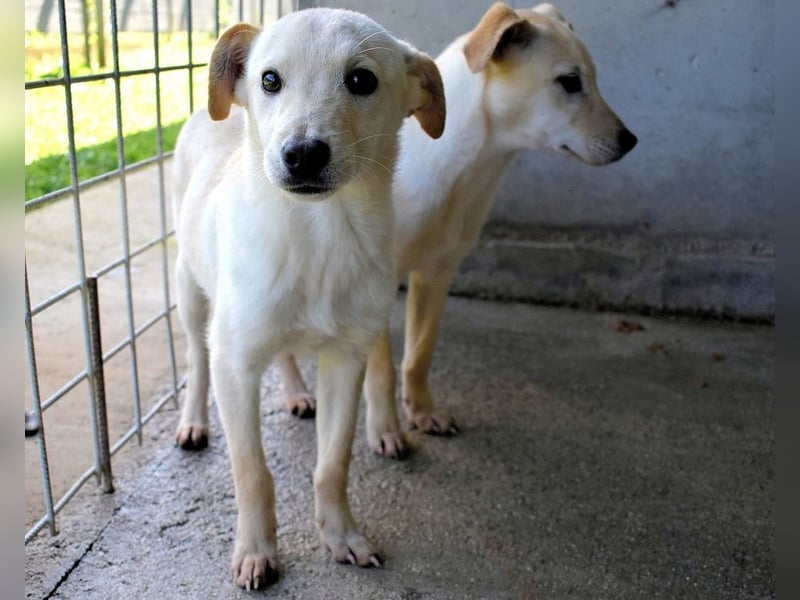 Elvio - seine Mut-Münzen sind fast aufgebraucht