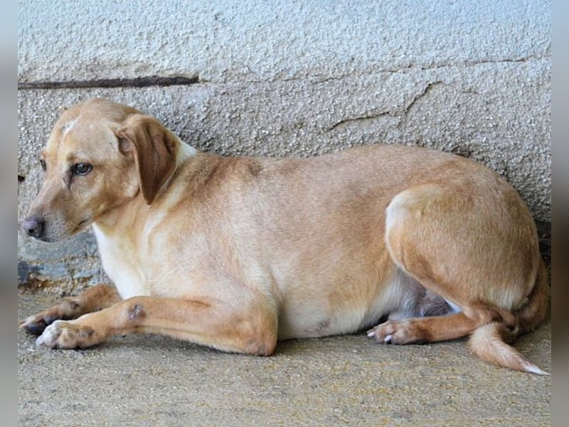 Bendix - wenn du mutig bist, dann bin ich es auch!