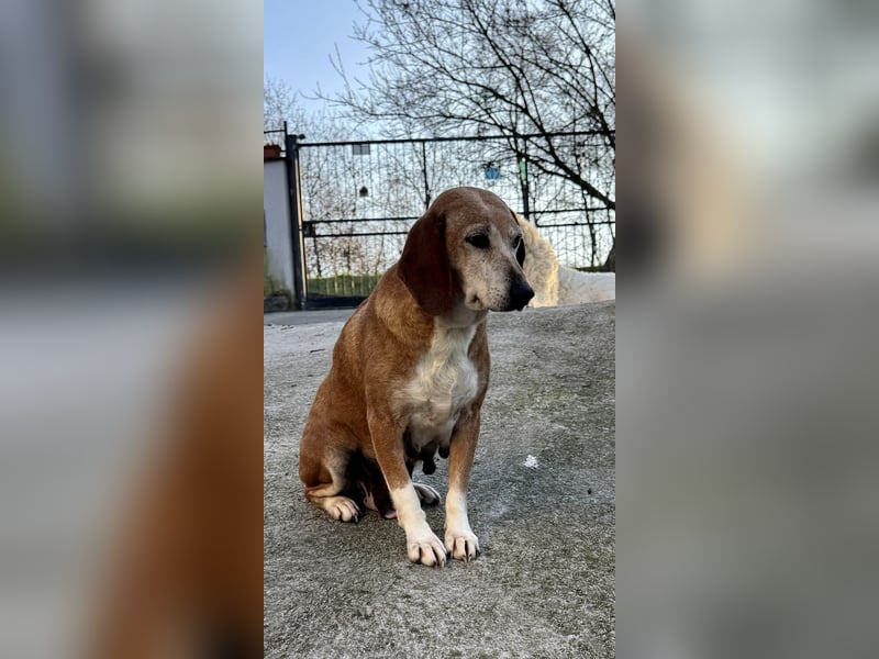 Silke - Zehn Jahre Stärke, jetzt ist sie an der Reihe