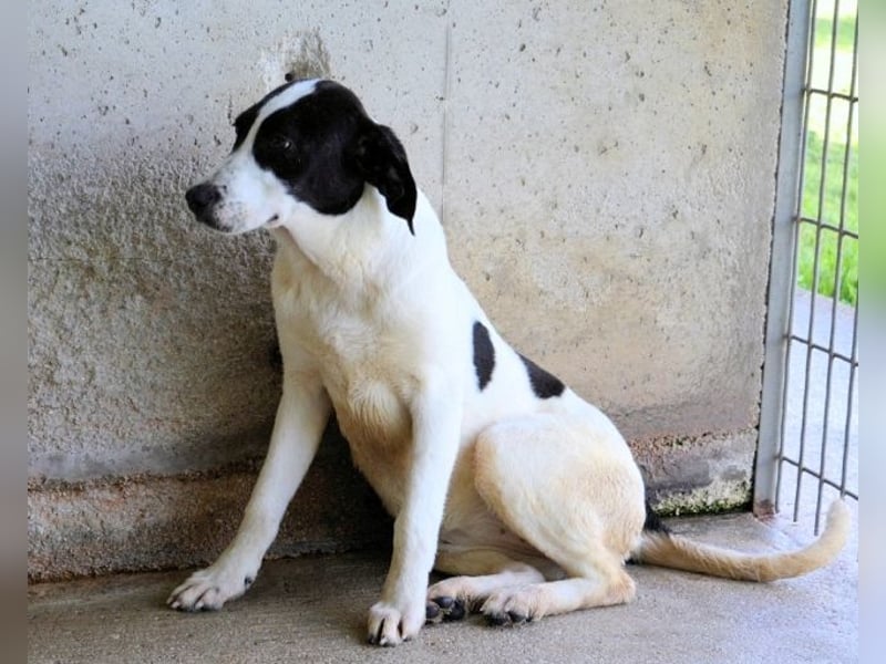 Raakel - Ein Anfang, der nie kam