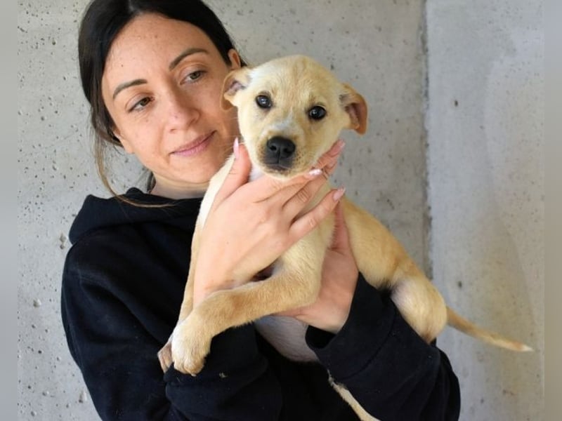 Sniffy - ...und Sirette halten zusammen