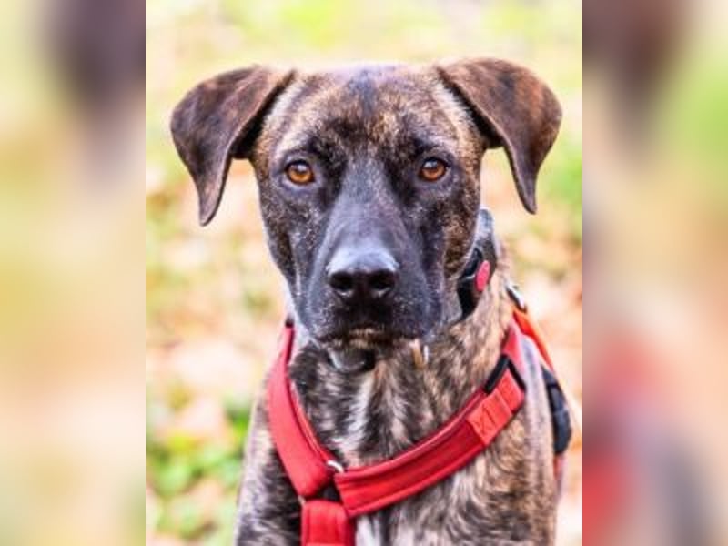 Branson - taut langsam auf und sucht Menschen mit Zeit