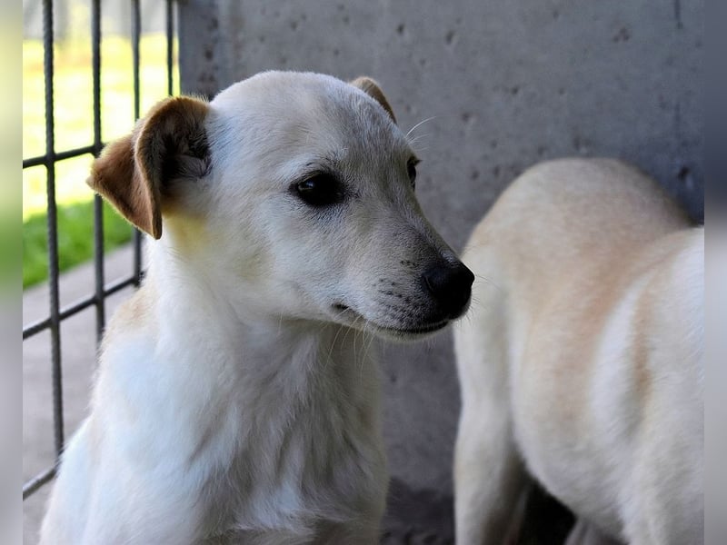 Elvio - seine Mut-Münzen sind fast aufgebraucht
