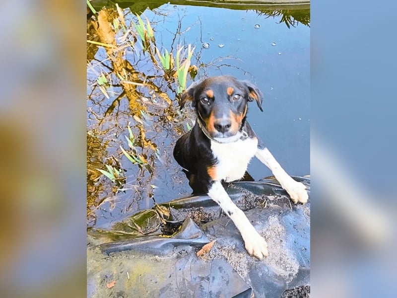 Zelia - Menschen zum Lachen bringen, das ist der Plan