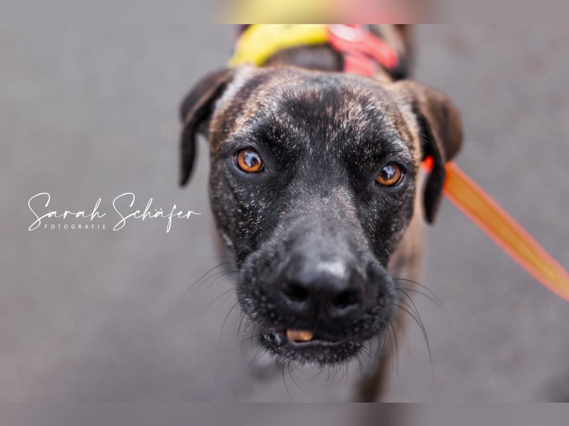 Branson - taut langsam auf und sucht Menschen mit Zeit