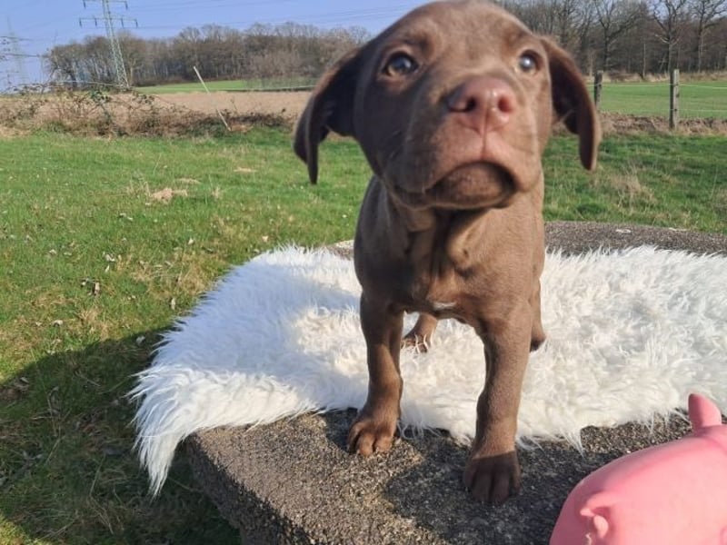 Liva - Also ehrlich, wir sind doch nur Babys!