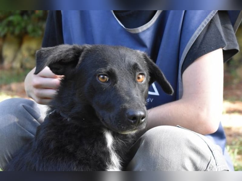 Rafeed - Möge der kleine Drache ihn beschützen