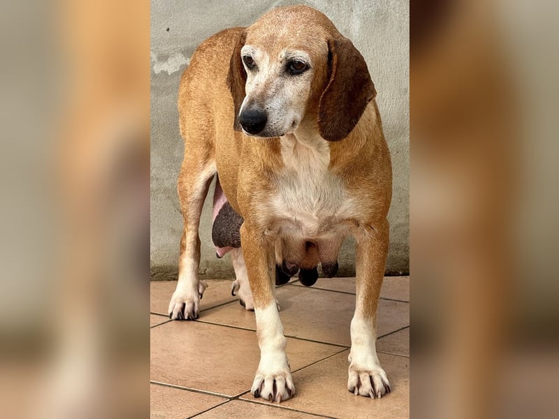 Silke - Zehn Jahre Stärke, jetzt ist sie an der Reihe