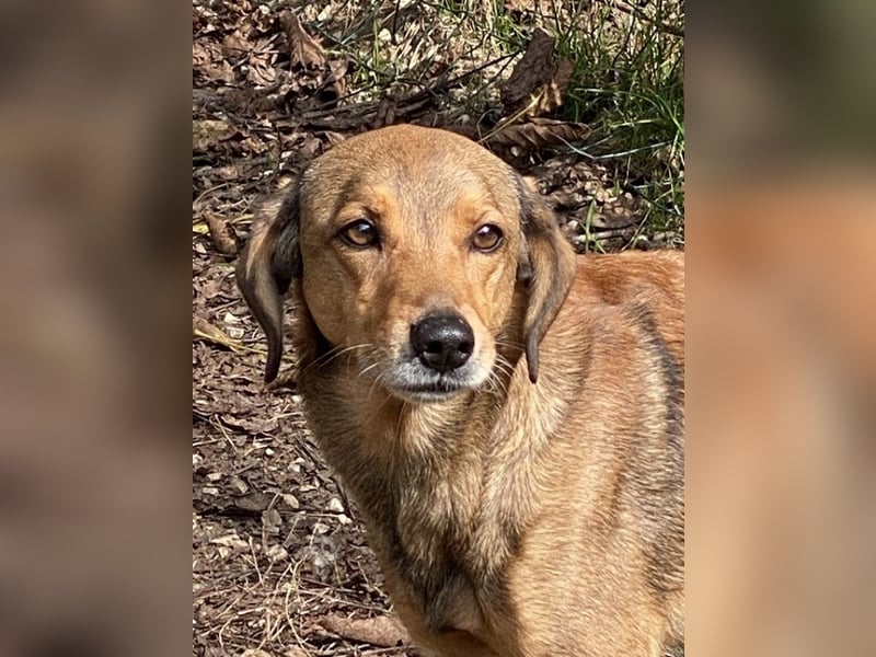 Kiro - Einmal alles auf (Neu)Anfang bitte!