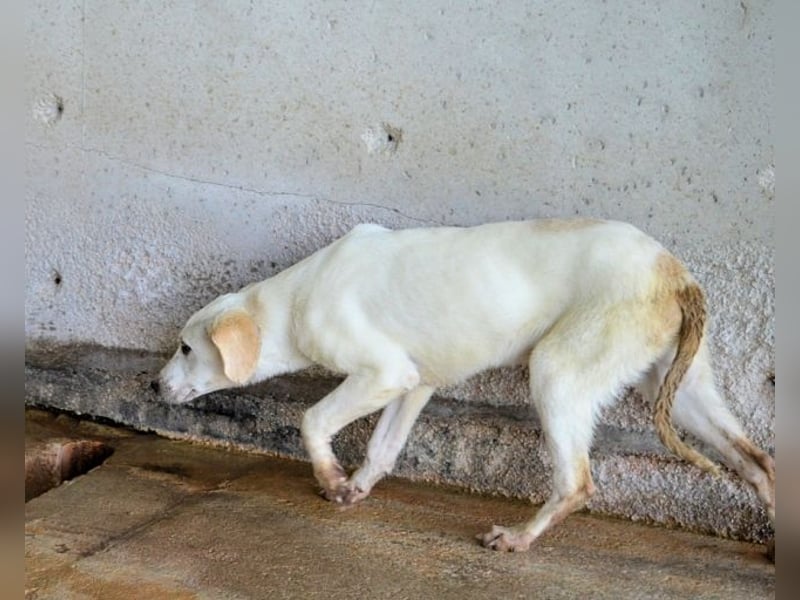 Radford - Ein Anfang, der nie kam