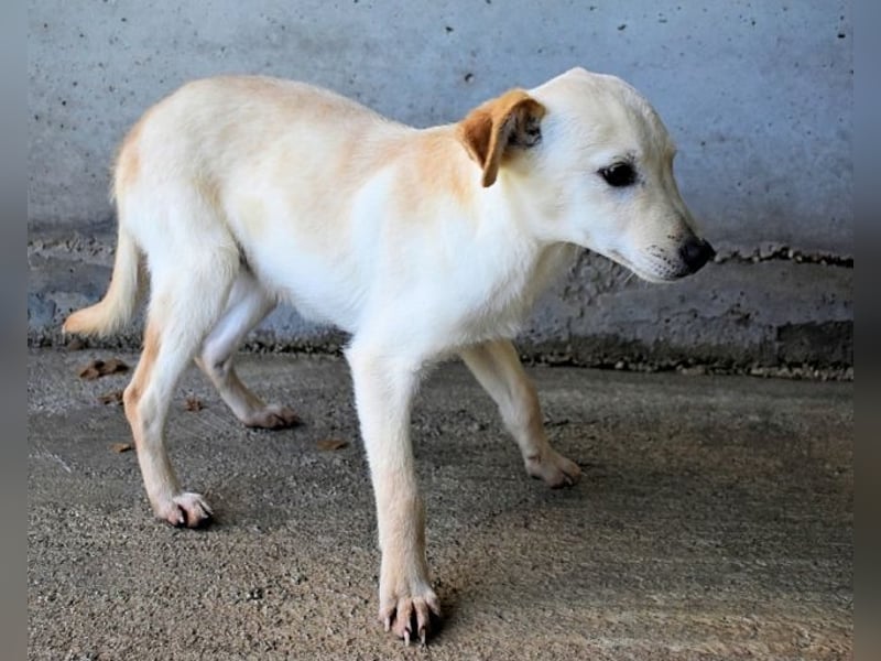 Elvio - seine Mut-Münzen sind fast aufgebraucht