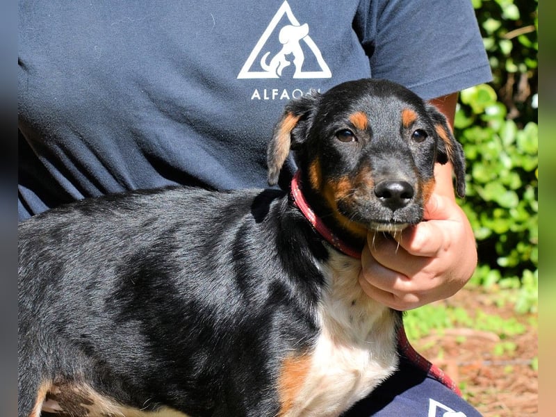 Zelia - Menschen zum Lachen bringen, das ist der Plan