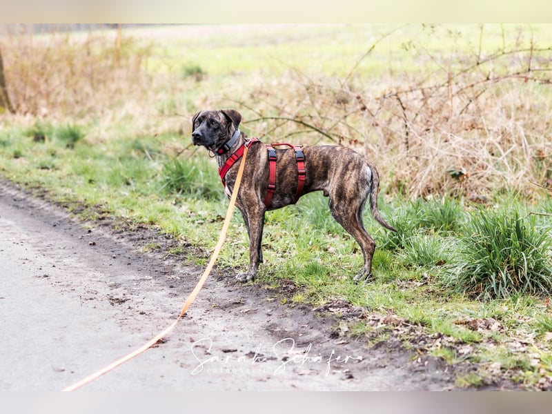 Branson - taut langsam auf und sucht Menschen mit Zeit