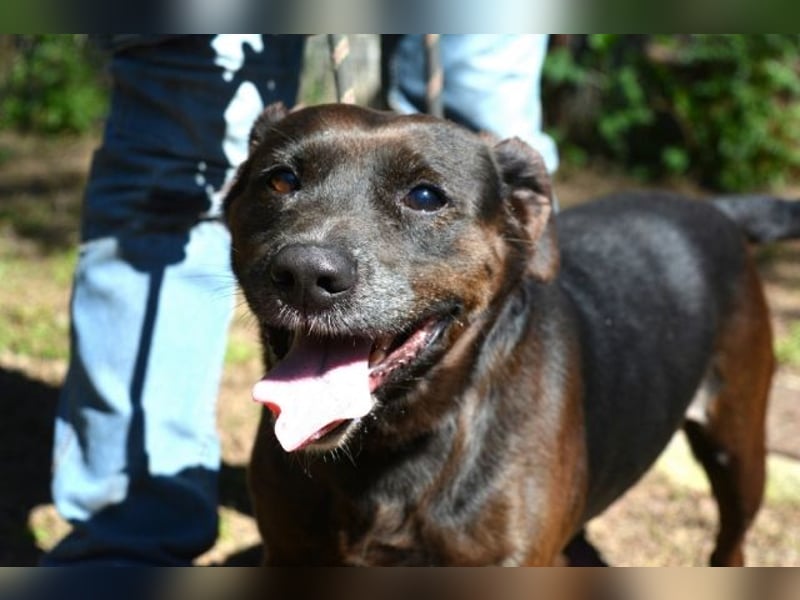Rellyt - mit dem ganz besonderen Blick Rellyt - mit dem ganz besonderen Blick