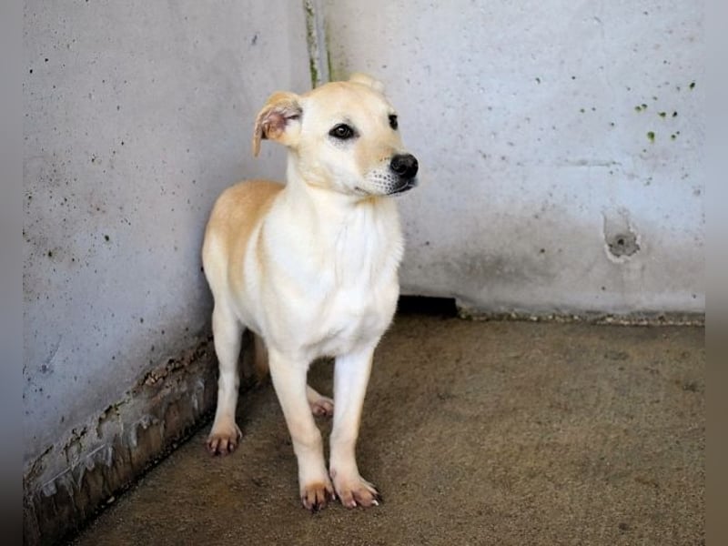 laro - gesucht: ein Post-it mit "Sicherheit"