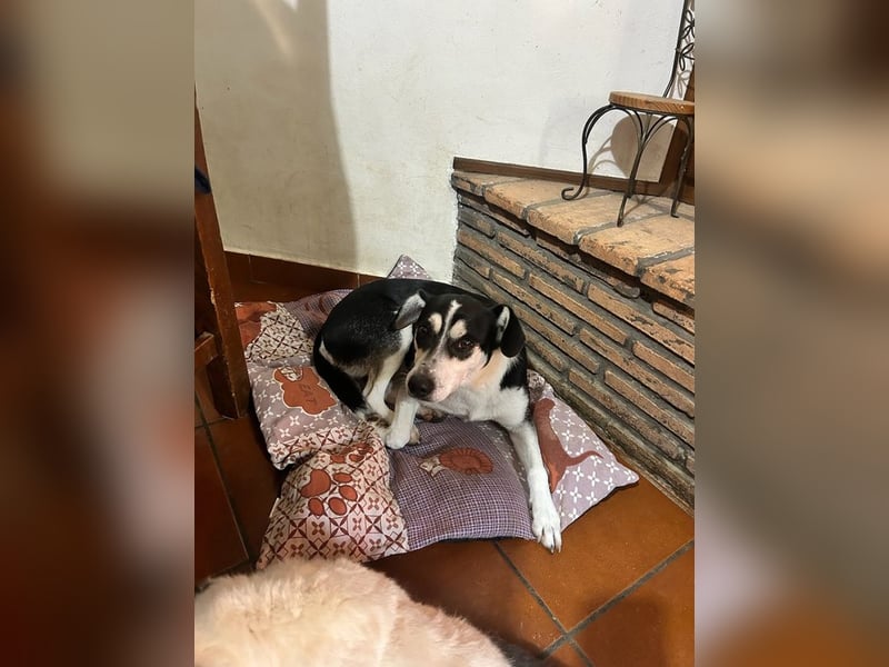 Nikita - Still, übersehen und dabei so besonders