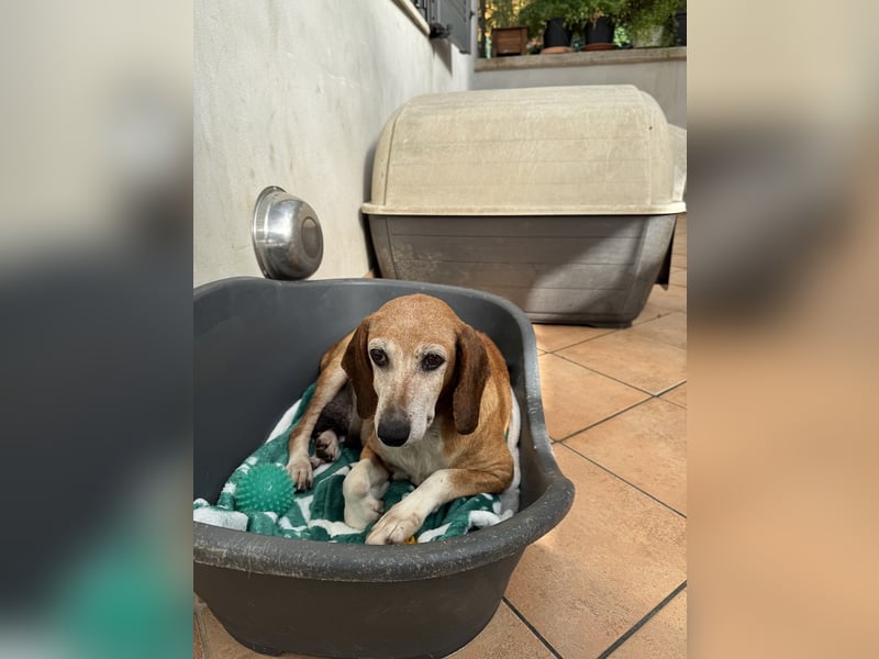 Silke - Zehn Jahre Stärke, jetzt ist sie an der Reihe