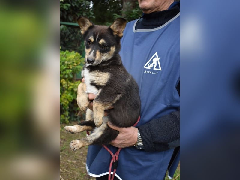 Vionella - Kuckuck...hallo...sind da draußen Menschen?