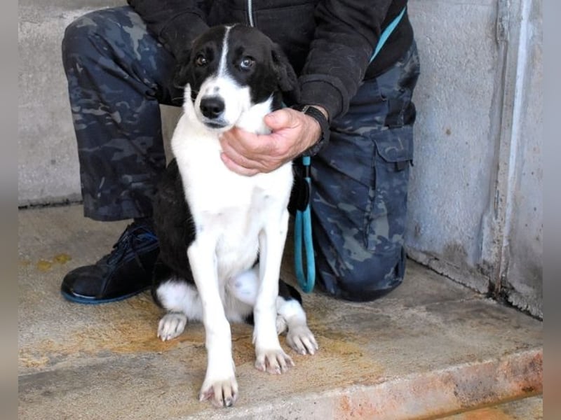 Dorezia - Teamplayerin sucht Stammplatz