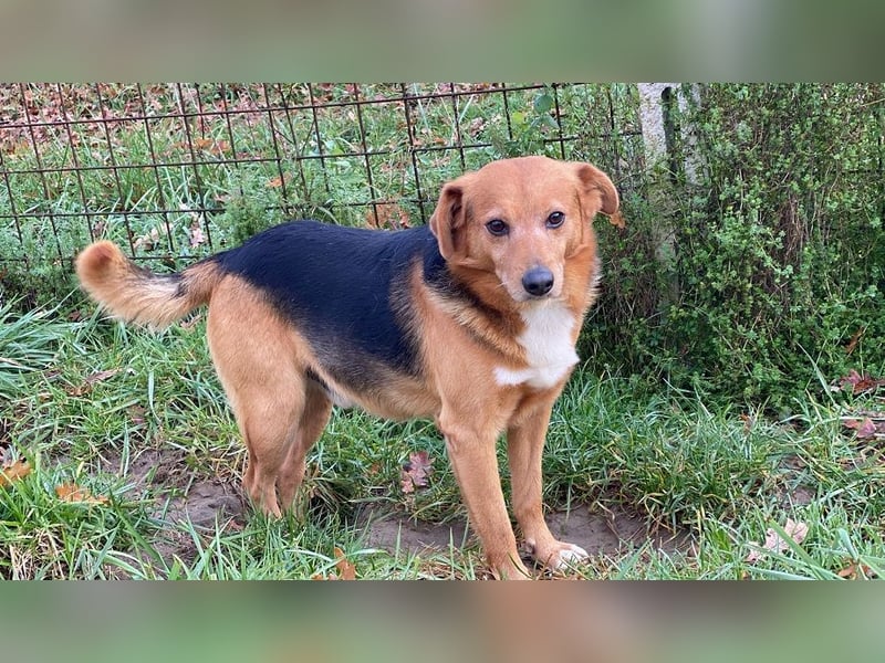 Sandokan - manches braucht ein Wunder