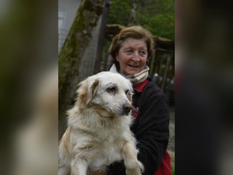 Ruby - wenn aus vorsichtigem Mut echtes Vertrauen wächst