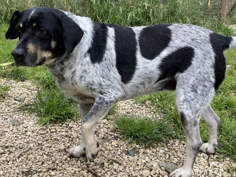 Bice - Das hat sie nicht verdient