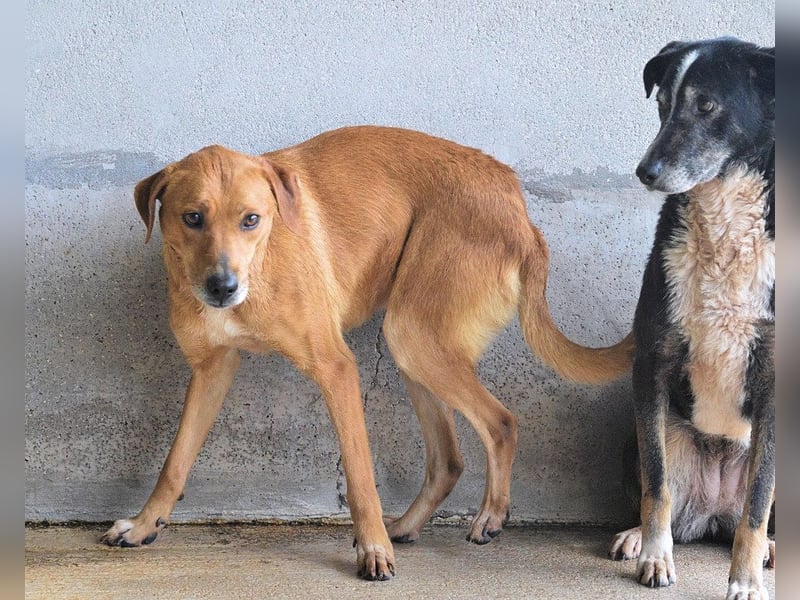 Idalee - Die Wunde namens Zeit