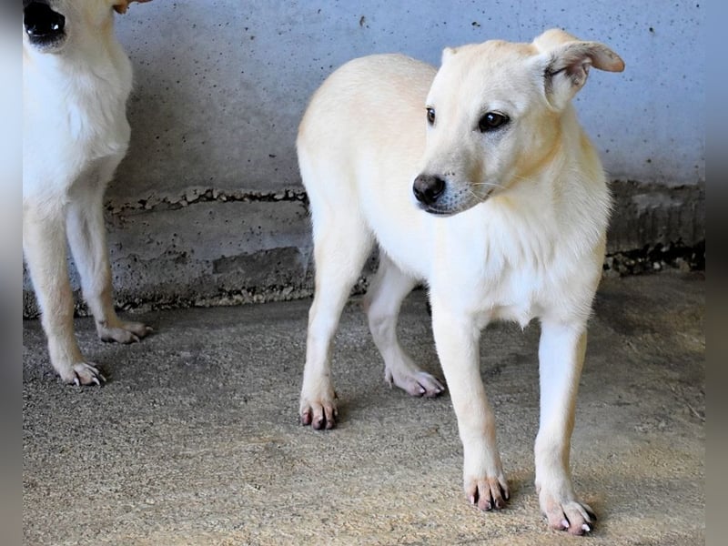 Elaro - gesucht: ein Post-it mit "Sicherheit"