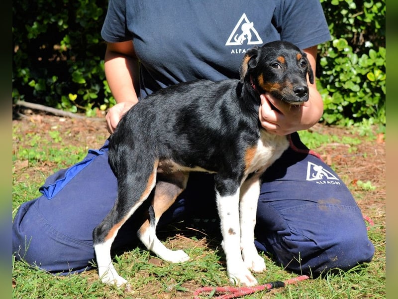 Zelia - Menschen zum Lachen bringen, das ist der Plan