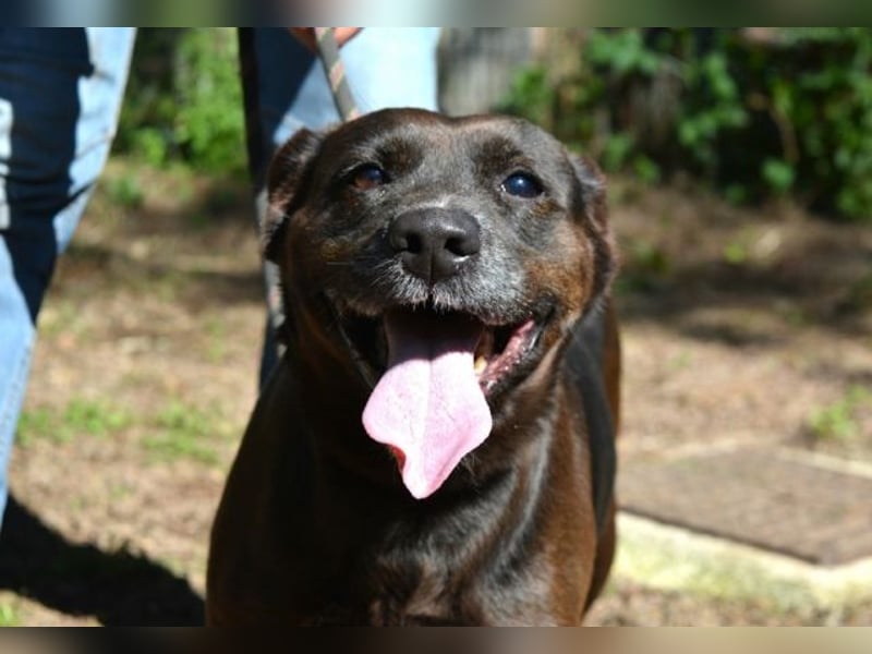 Rellyt - mit dem ganz besonderen Blick Rellyt - mit dem ganz besonderen Blick
