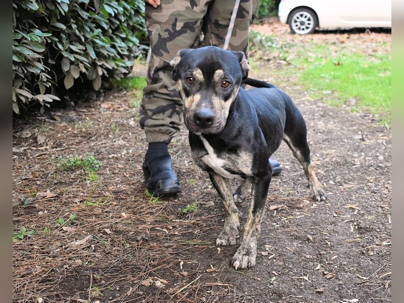 Kristian - SOS - Braucht ganz dringend ein Ausreiseticket