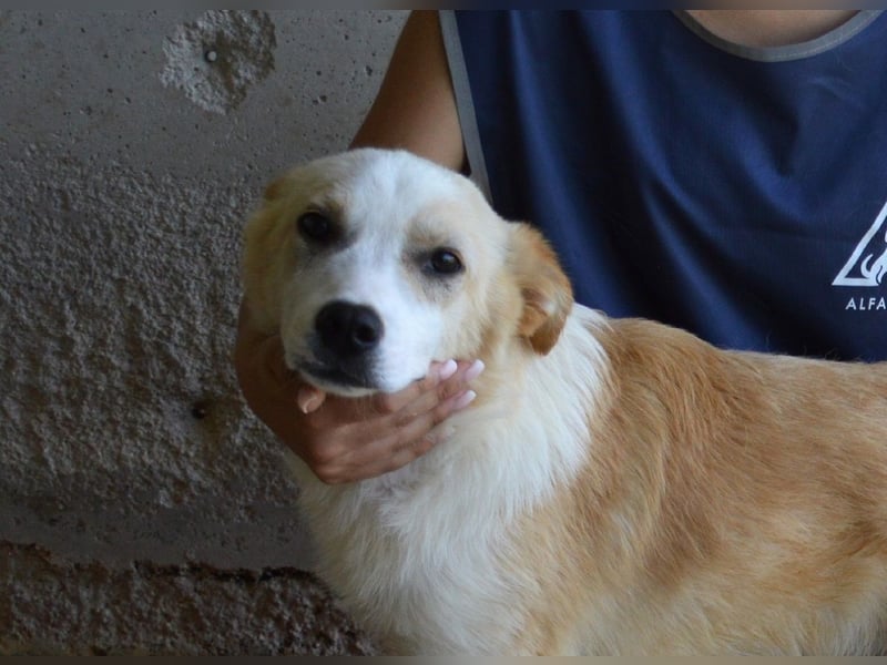 Simbad - Ein verlässlicher Partner...