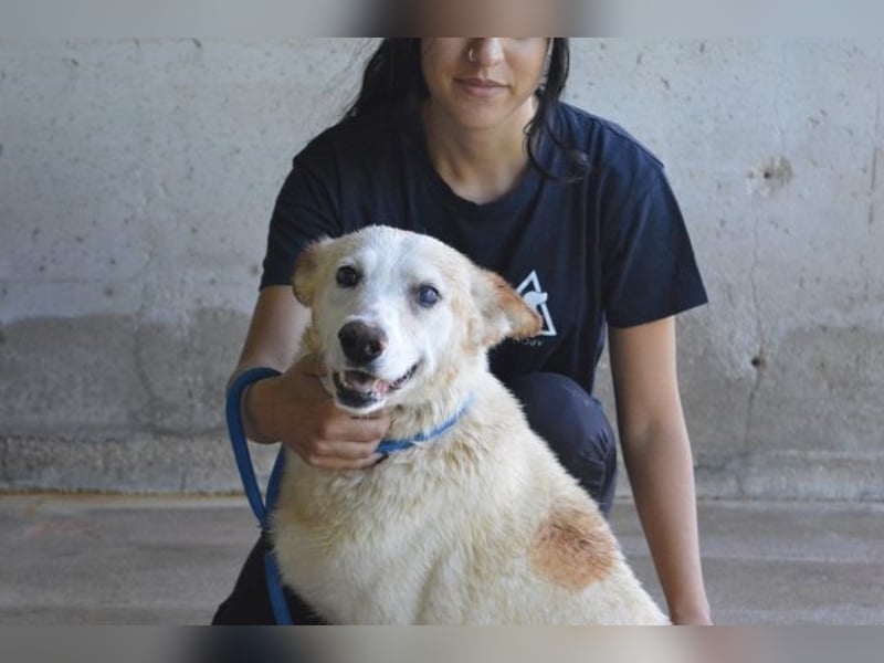 Darik - SOS- Der Rentner im falschen Wartezimmer