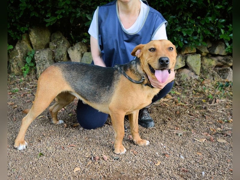 Linnea - Hauptsache ihr großes Herz passt in`s Körbchen