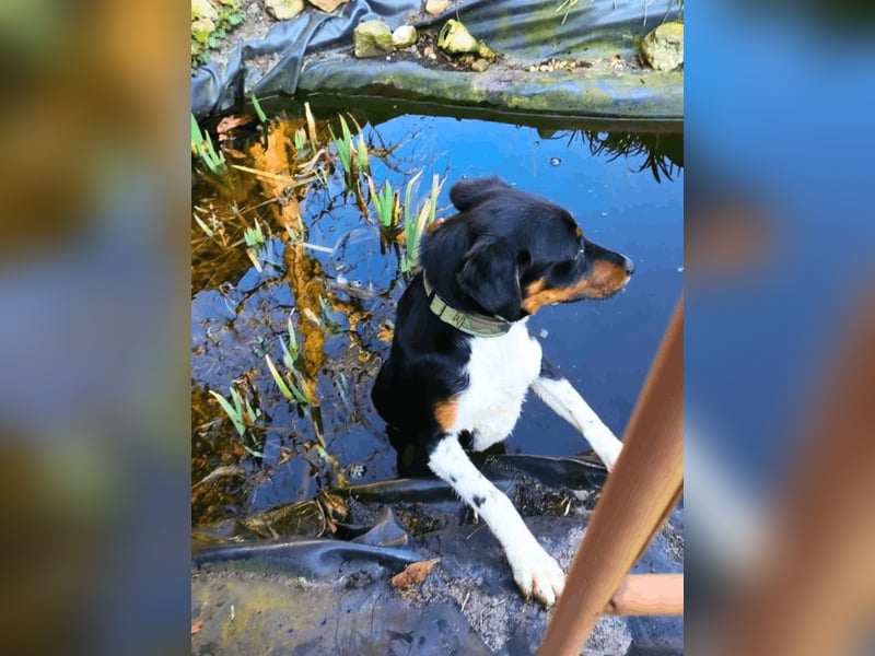 Zelia - Menschen zum Lachen bringen, das ist der Plan