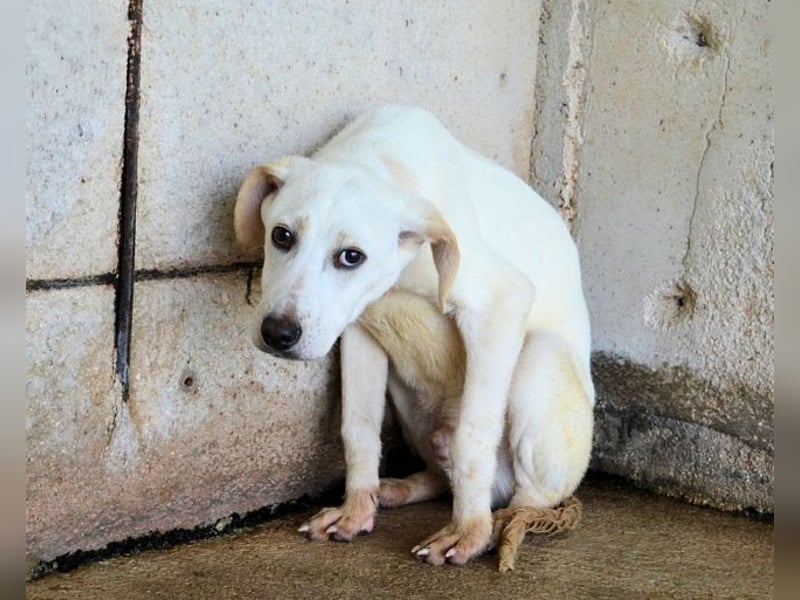 Radford - Ein Anfang, der nie kam