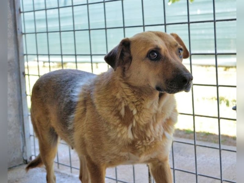 Alphonza - "...alles Gedeihen beruht auf Geduld..."