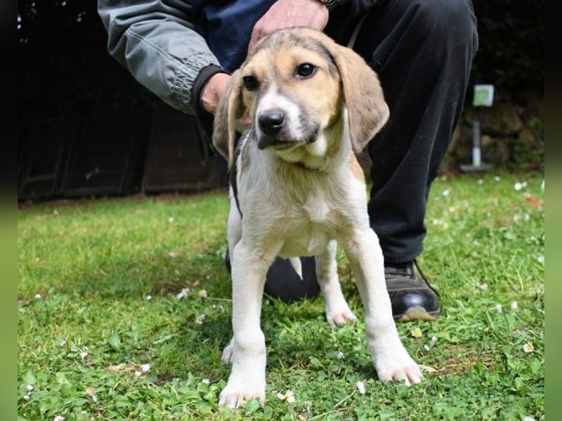 Wasker - Als Mama noch bei uns war