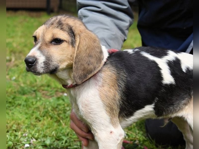 Wasker - Als Mama noch bei uns war