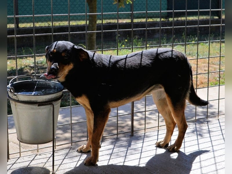 Mirjana - Mit Rückenwind ins Glück!